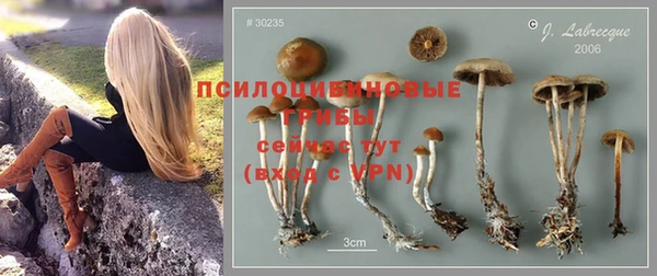 каннабис Корсаков