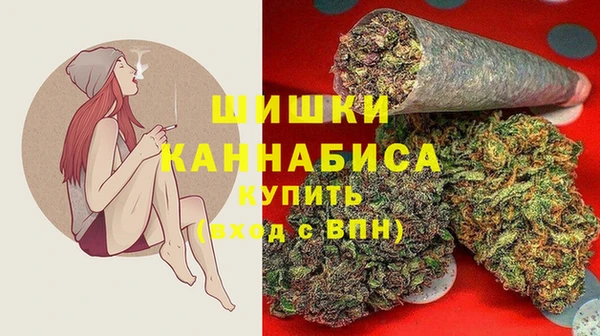a pvp Коряжма