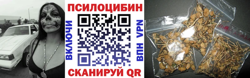 Купить закладки  Горячий Ключ  Галлюциногенные грибы прущие грибы 